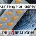 Ginseng For Kidney 44